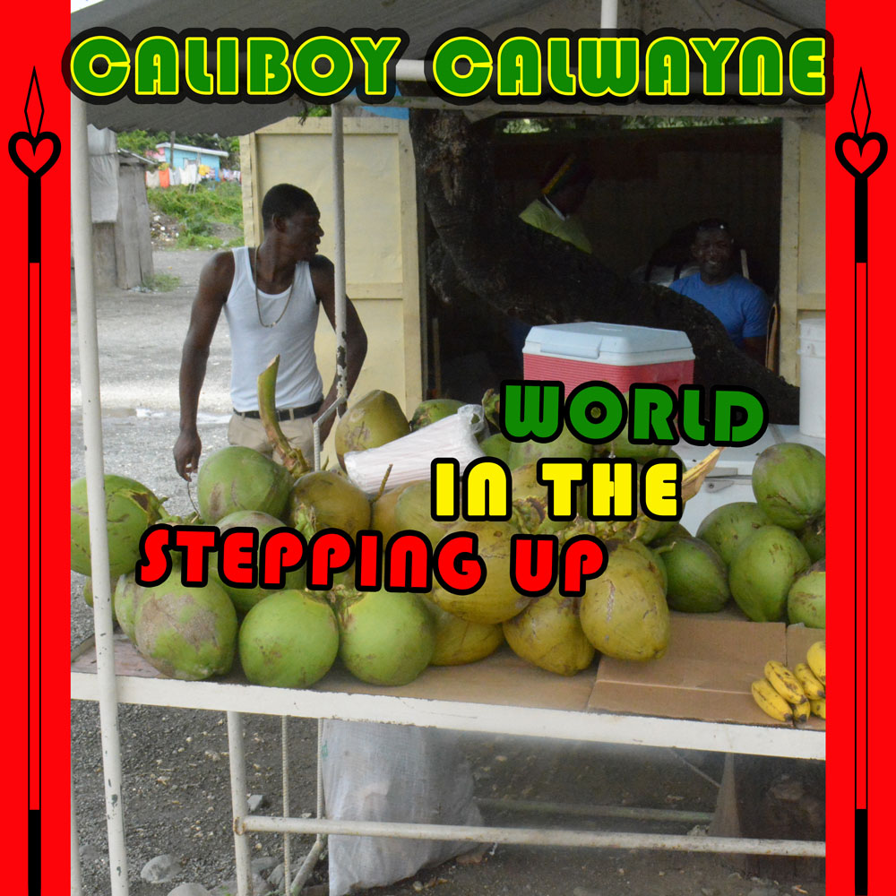 Stepping Up in the World Song Cover Art